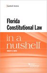 Jarvis Florida constitutional law in a nutshell